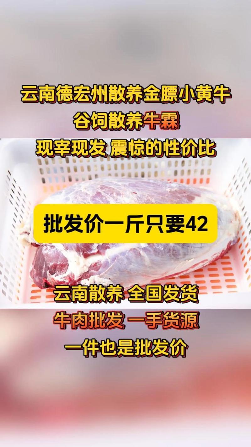 聚焦德宏商贸:多元市场前景与挑战